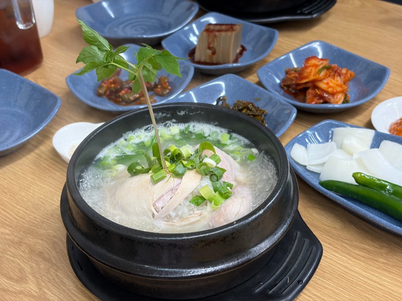 [수원] 화성행궁 바로 앞 행궁동 40년 된 삼계탕 맛집 "수원삼계탕" 솔직후기