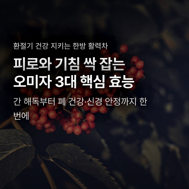 피로와 마른기침 싹 잡는 오미자 효능, 팔팔 끓이면 오히려 독 되는 이유