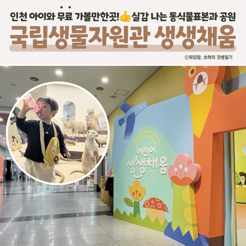 인천 청라 아이와 가볼만한곳 ⭐️국립생물자원관 생생채움 | 입장료·주차 무료! 어린이체....
