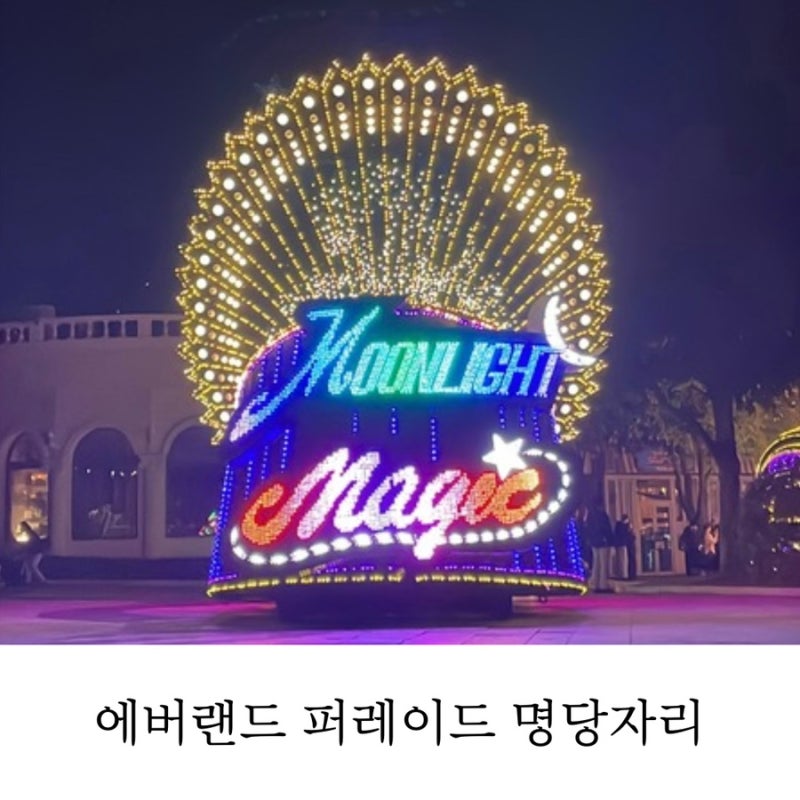 Everland Parade Best Viewing Spots: A Guide from an Annual Pass Holder