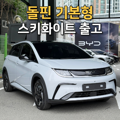 부산 BYD 돌핀 출고 후기 : 2천만원대의 최고의 가성비 전기차 추천 이유 총 정리