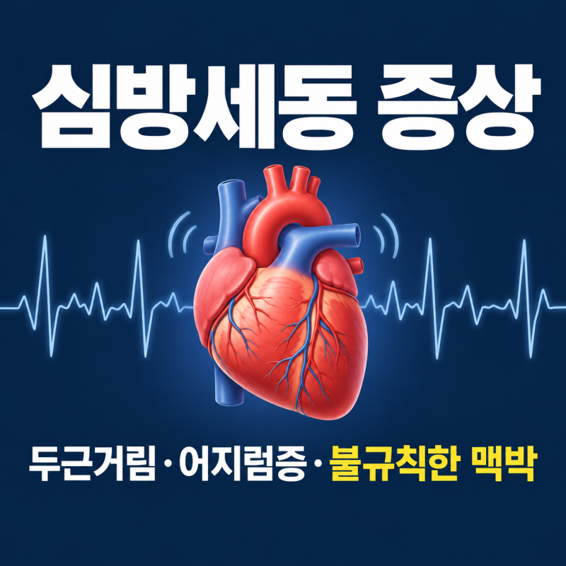 심방세동 증상 두근거림 어지럼증, 불규칙한 맥박과 검사 방법