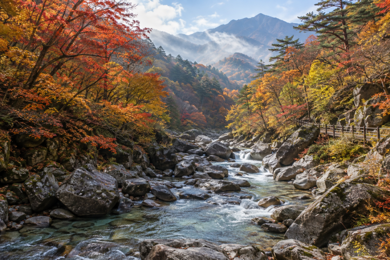 전라도 단풍여행 명소 -내장산·백양사·지리산 절정 시기와 주차 팁