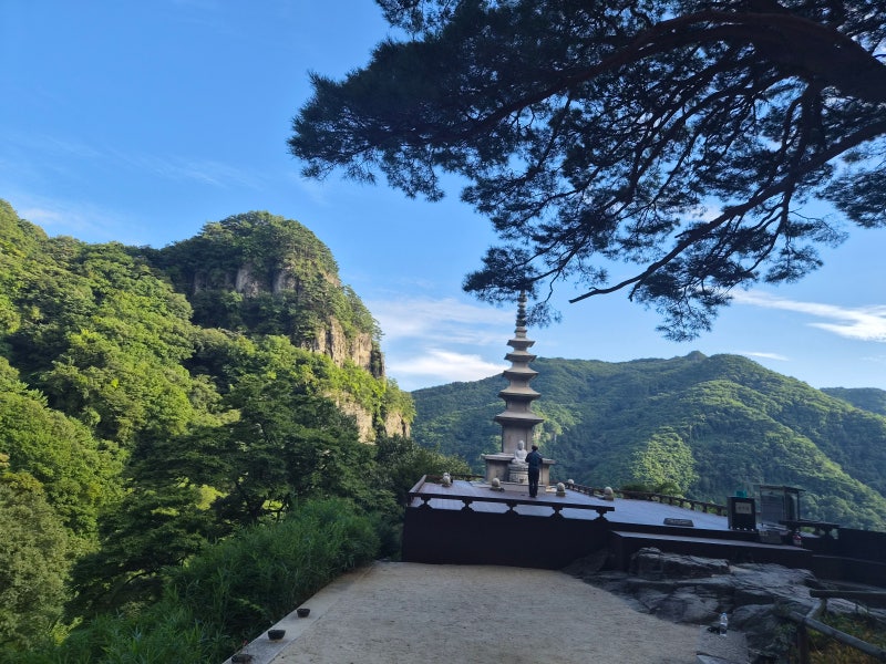 대중교통을 이용한 도보여행 100선 시즌 2 제20탄 첫째날 봉화 국립백두대간수목원과 청량산 ....