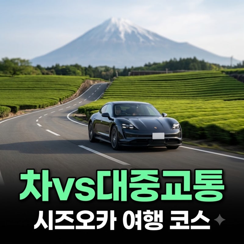 시즈오카 여행 코스 렌트카 vs 대중교통 비용 일정 완전 비교