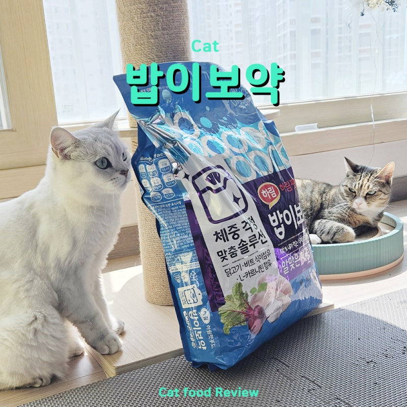 고양이 알러지가 심한 집사와 IBD 장질환 고양이, 밥이보약으로 사료하나 바꾸고 둘 다 좋아....