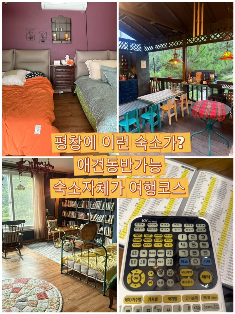 평창 애견동반 숙소 산골타샤 타샤의숲｜강아지와 객실·공용공간 숙박 후기