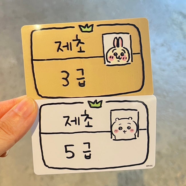 용산 아이파크몰 치이카와샵에 갔다가 제초 자격증만 뽑아왔어요 (치이카와샵 대기시간, 치....