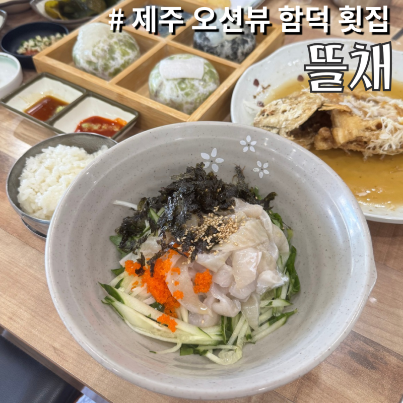 제주 [오션뷰 함덕 횟집] 1인 특선 정식 먹고 반하고 온 뜰채 제주 함덕점