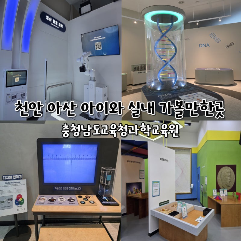 천안 아산 아이와 실내 가볼만한곳 충청남도교육청과학교육원 볼거리 체험