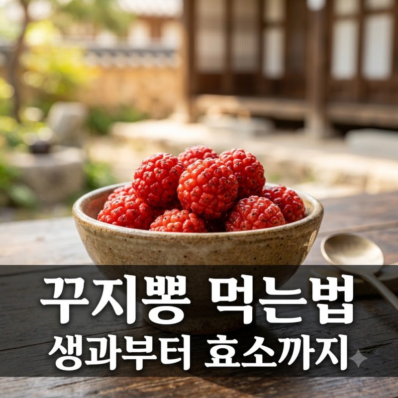 꾸지뽕 열매 먹는법 이거 모르면 손해.. 생과부터 효소까지 총정리