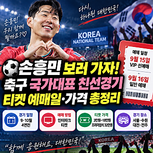 손흥민 보러 가자! 축구 국가대표 친선경기 티켓 예매일·가격·경기 일정 총정리