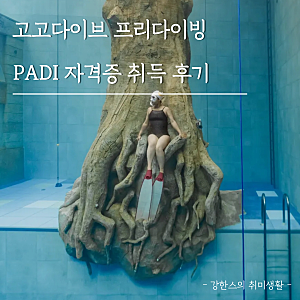 고고다이브 프리다이빙 배우기｜PADI Freediver 취득 후기 & Advanced Freediver 도전