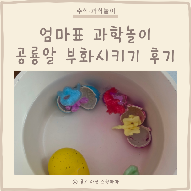 5세 엄마표 과학놀이 공룡알 부화시키기 책과 그림 연계학습 후기