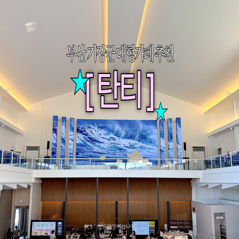 부산 기장 대형 카페 탄티 신세계아울렛 근처 주차 편한 데이트코스 애견동반 가능