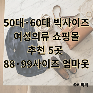 50대·60대 빅사이즈 여성의류 쇼핑몰 추천 5곳 88·99사이즈 엄마옷