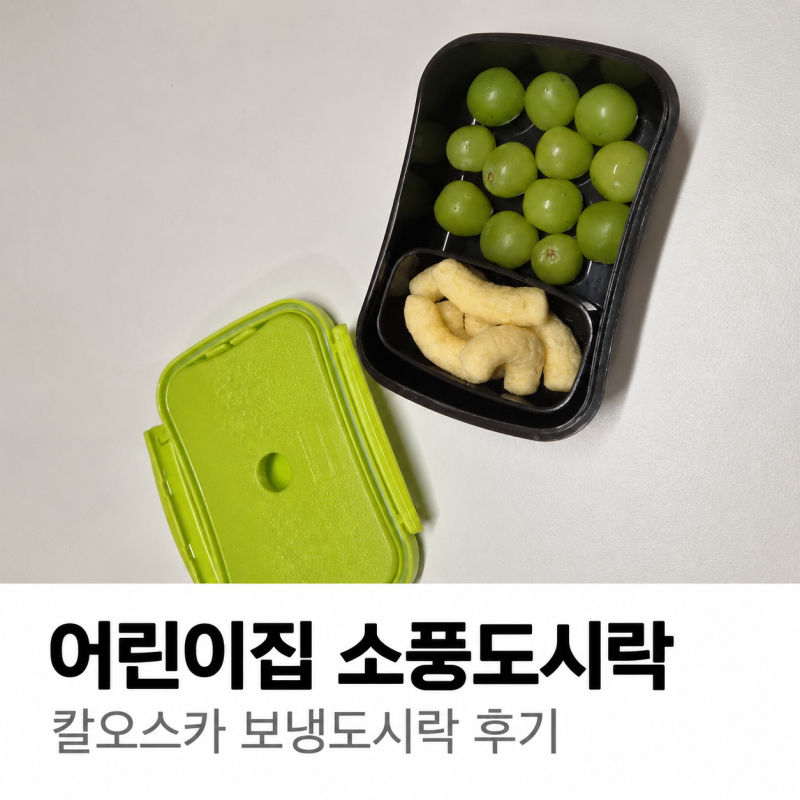 어린이집 소풍도시락 칼오스카 보냉도시락 후기