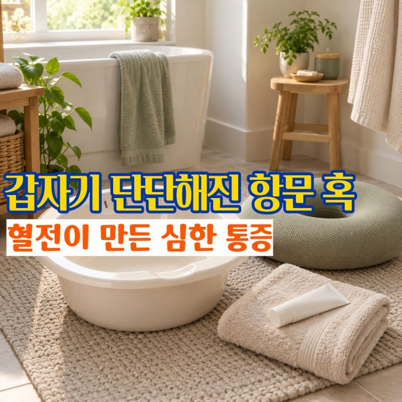 외치핵 갑자기 단단한 혹시 생기는 혈전성외치핵 자연치료와 연고 치료