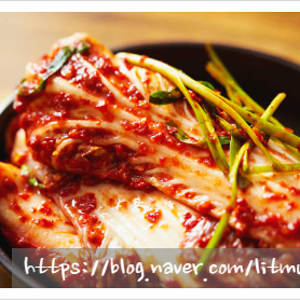 배추김치겉절이 식당 겉절이 황금레시피 칼국수집 마늘김치 맛있는 배추김치 양념 만들기