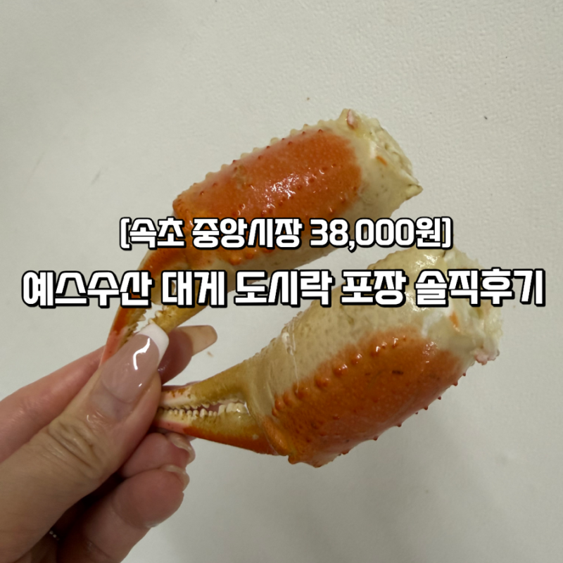 [속초중앙시장 홍게 맛집]예스수산! 가성비 대게 도시락 포장·주차·영업시간 총정리