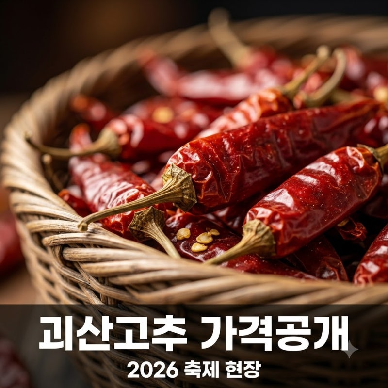 "작년보다 비쌀까?".. 2026괴산고추축제가격 드디어 공개, 현장 가보니 반전