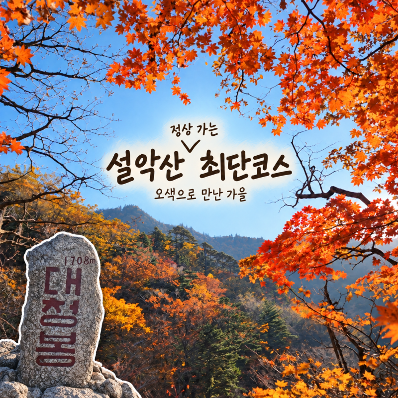 2026 설악산 단풍시기｜오색 단풍 최단코스 대청봉 일출 혼자산행 후기
