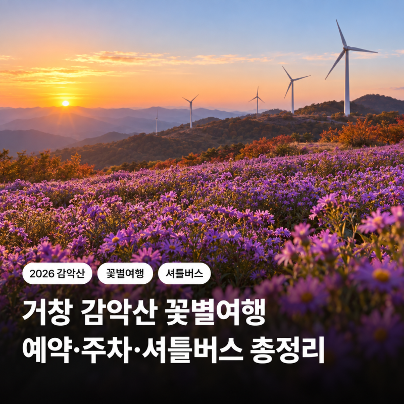 2026 거창 감악산 축제 일정｜차량 예약 없이 가는 법과 셔틀버스 요금