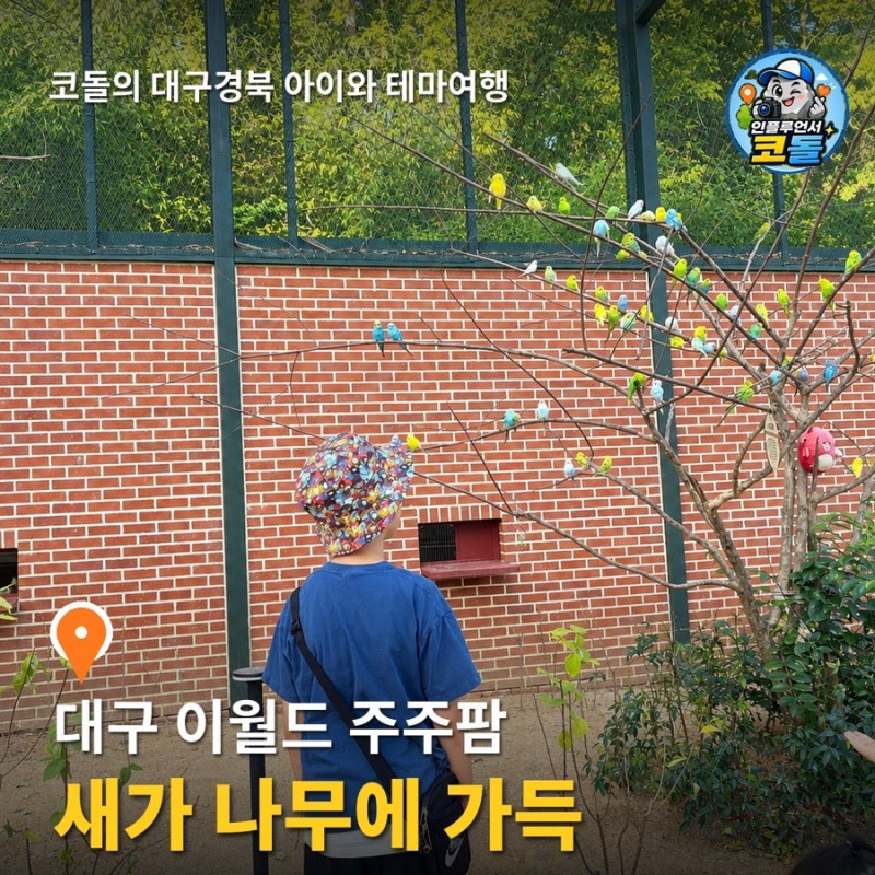 대구 이월드 주주팜 | 토끼팜·버드파크·파충류체험장·알파카팜파크 6시 마감 아이와 동물....