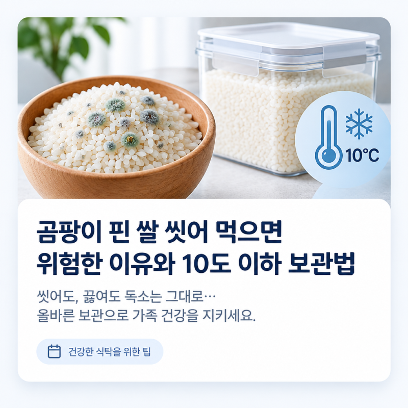 곰팡이 핀 쌀 씻어 먹으면 위험한 이유와 10도 이하 보관법