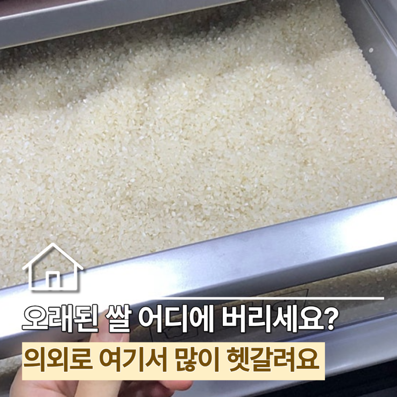 "쌀통 열었더니 냄새가 이상…" 오래된 곰팡이 쌀 버리는 방법, 아무 데나 버리면 안 돼
