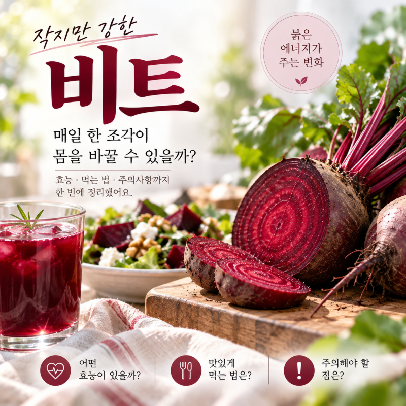 비트효능 총정리 혈압 먹는법 부작용까지