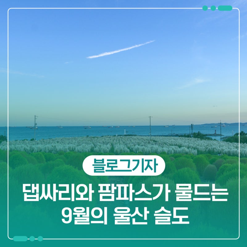 9월의 울산 슬도는 댑싸리와 팜파스가 물들어가는 계절