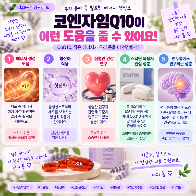 코엔자임Q10 효능 총정리｜CoQ10 왜 먹을까? 복용 전 꼭 알아둘 것