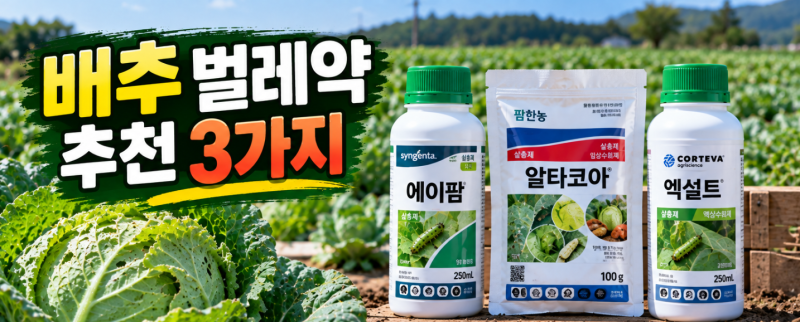 배추 벌레약 추천, 배추좀나방·파밤나방 등 해충별 살충제 사용법