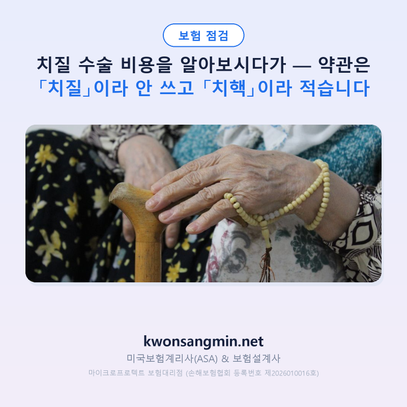 치질 수술 비용을 알아보시다가 — 약관은 「치질」이라 안 쓰고 「치핵」이라 적습니다