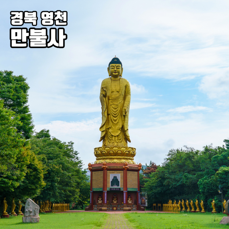 영천 만불사 아미타대불 경북 사찰 가볼만한곳 가을 여행