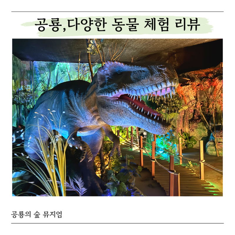 대천아이와가볼만한곳 공룡의숲 뮤지엄, 공룡체험부터 미니동물원까지