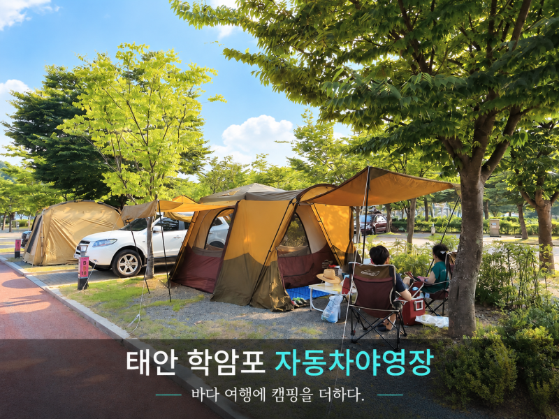 태안 학암포야영장, 카라반 예약인 줄 알았는데 자리만 빌릴 수도 있다고요?