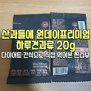 산과들에 원데이프리미엄 하루견과류 20g｜다이어트 간식으로 직접 먹어본 찐리뷰