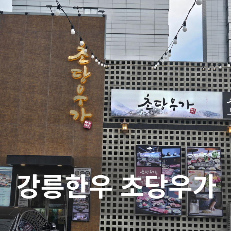 강릉맛집 초당우가, 세인트존스호텔맛집 애견동반 가능한 식당