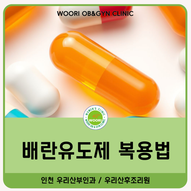 배곧 산부인과 배란유도제 복용 후 배란초음파, 언제 확인해야 할까?