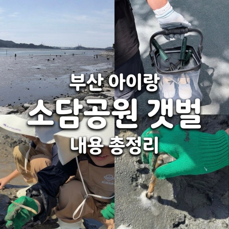 부산 아이와 가볼 만한 곳 명지 소담공원 갯벌 체험 맛조개 잡기 꿀팁 물때 보는 법 준비물 ....