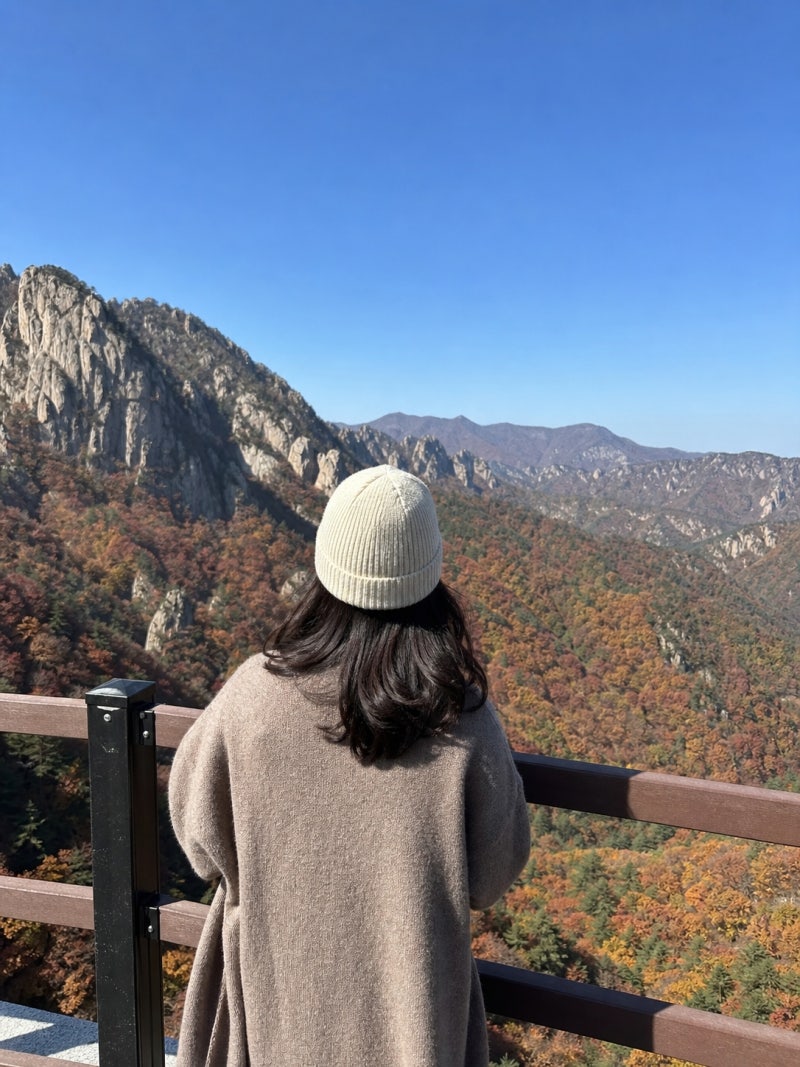 2026 설악산 단풍시기 절정 예상일, 미리 알고 떠나는 가을여행