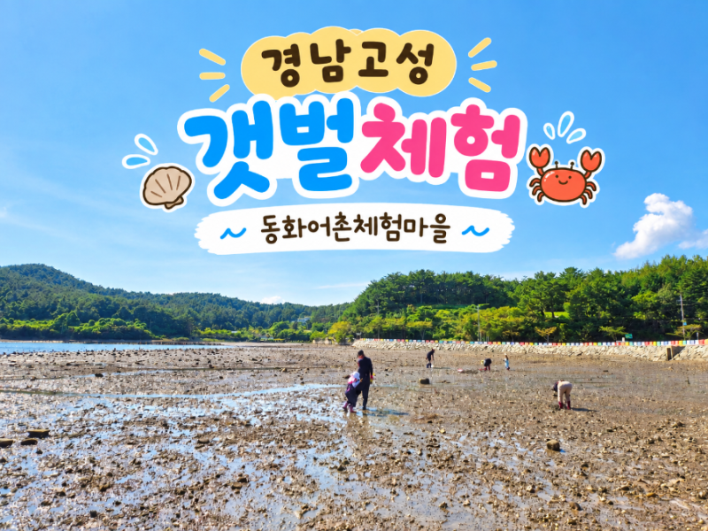 경남갯벌체험/경남고성갯벌체험/남해갯벌체험/동화어촌체험마을