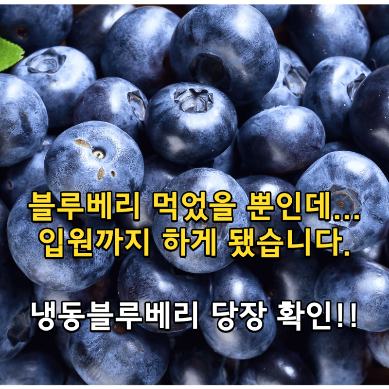 냉동 블루베리 먹은 환자 "균" 때문에 6명 입원한 이유는