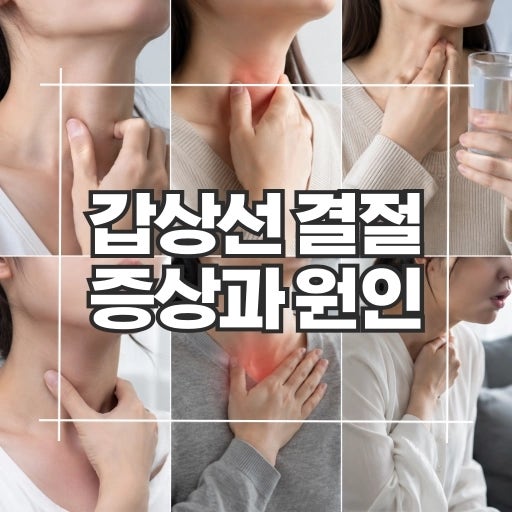 갑상선 결절 증상과 원인, 목에 혹이 만져진다면 확인하세요