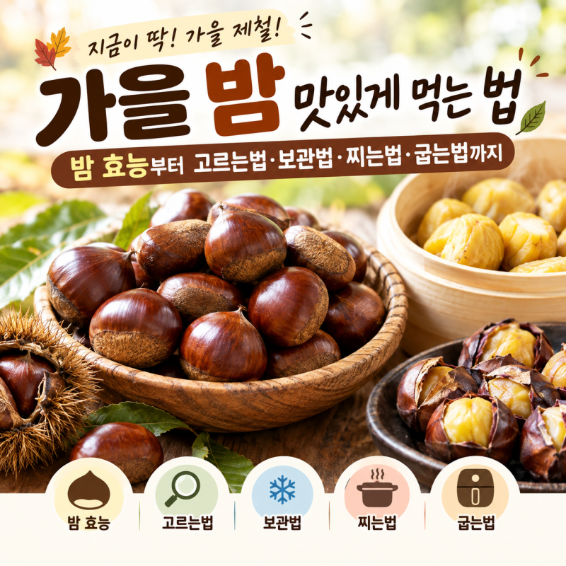 가을 밤 맛있게 먹는 법｜밤 효능부터 고르는법·보관법·찌는법·굽는법까지