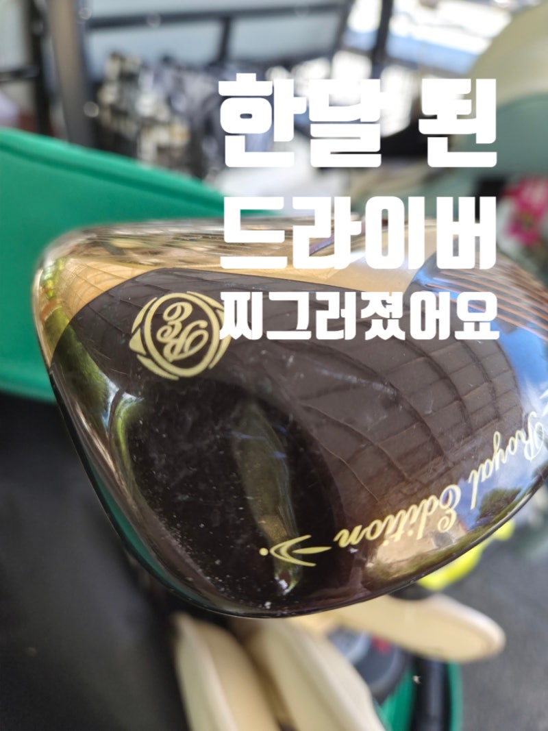 한 달 된 드라이버가 찌그러졌어요｜골프채 보호용 볼프 완충 쿠션 커버 사용후기