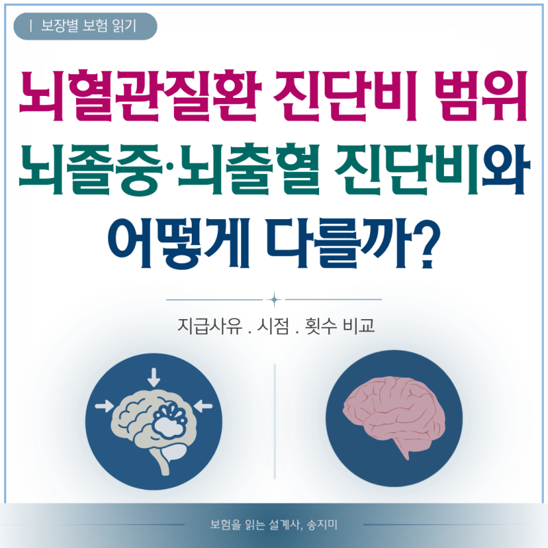 뇌혈관질환 진단비 범위, 뇌졸중·뇌출혈 진단비와 어떻게 다를까?