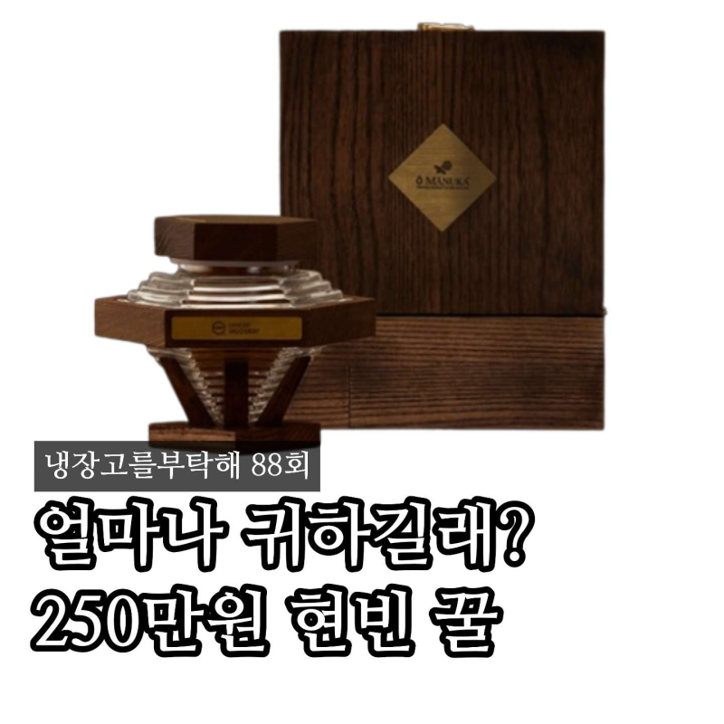 “가격이 250만원?” 냉부 현빈 꿀, 손예진이 가져온 마누카꿀 정체